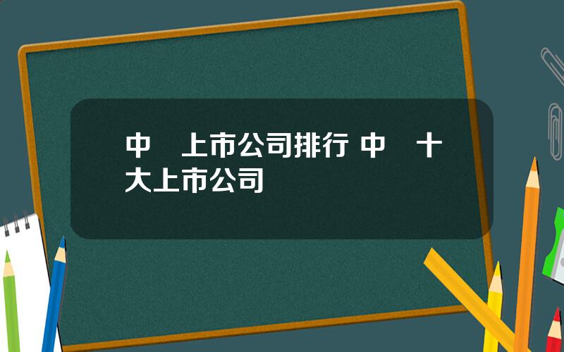 中國上市公司排行 中國十大上市公司